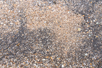 Scattered shells on a black beach. black sand beach is in Trat Thailand. Black sand has many medicinal properties. Travelers prefer to sleep in the sand. Or take a foot soaked in sand