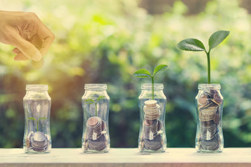 Saving and investment concept. Hand holding coin over stack of coins in 4 glass jar with plant...