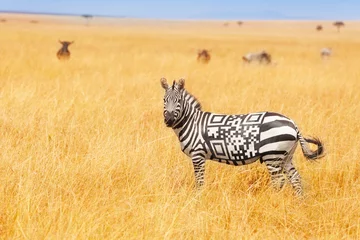 Foto auf Acrylglas Zebra mit QR-Code auf dem Rückenkonzept im Feld © Sergey Novikov