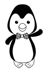 Penguin cartoon design vector illustrator