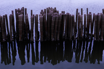 silhouettes of people on bridge, bamboo 
