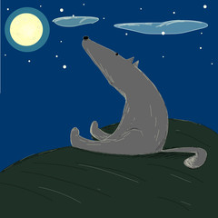 Obraz na płótnie Canvas one gray wolf ponder sad lonely shine moon blue sky night sit illustration