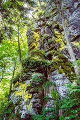 Rocks with moss, Hrb hill, Vepor mountains, Polana, Slovakia © vrabelpeter1