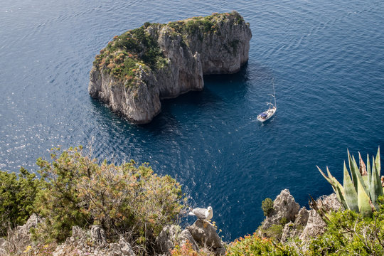 Capri - Felsen im Meer mit Boot und Vogel 