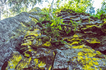 Rocks with moss, Hrb hill, Vepor mountains, Polana, Slovakia © vrabelpeter1