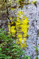 Rocks with moss, Hrb hill, Vepor mountains, Polana, Slovakia © vrabelpeter1