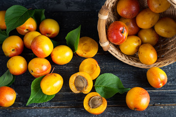 Ripe red apricots in a wooden basket