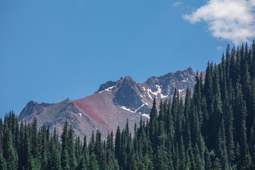 Obraz premium summer mountain landscape with fir trees on the mountainside and mountain peak
