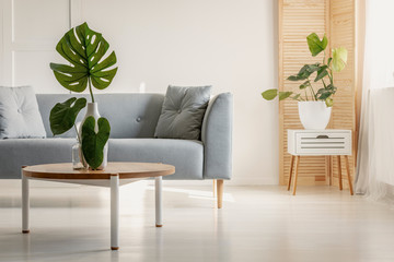 Stylish living room in minimal scandinavian style