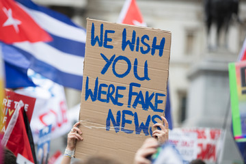 Fototapeta premium A protestor holds a political banner with you wish you were fake news message