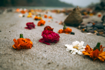 Beautiful colorful devotional flowers laying on the beach