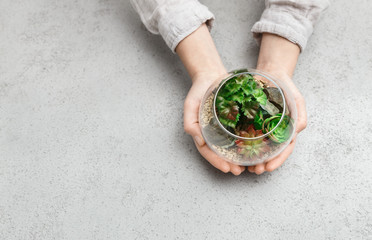 Woman holding mini glass florarium, copy space