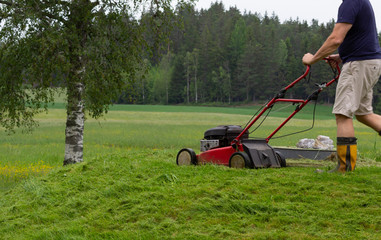 Fototapeta premium man mowing the lawn