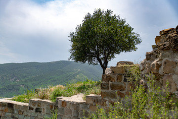 architecture of old temples and castles