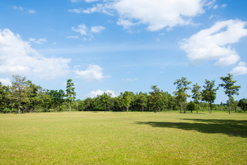  Park with green grass field , Beautiful park scene background