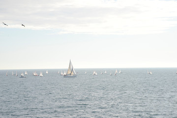 Fototapeta premium Sailboats in the middle of the sea