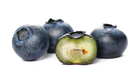 Blueberries macro isolated on white background