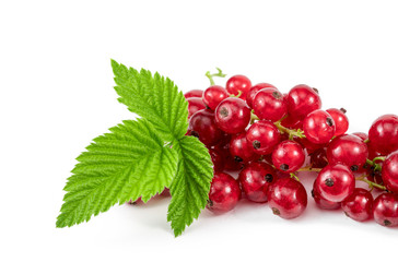.red berries and green leaves on a white background