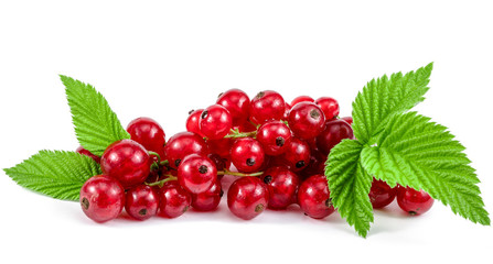 .red berries and green leaves on a white background