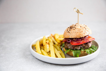 Craft homemade beef burger and french fries. Light background, copy space.