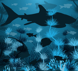 Underwater background with tropical fish and shark, vector illustration