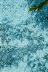 Shadow of the leaves on a blue wall. - Image