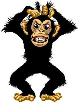 cartoon chimp or chimpanzee monkey pulls his fur hair out and showing teeth. Angry or stressed emotion. Standing pose in the front view. Isolated vector illustration