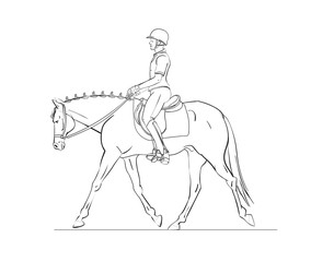 Horse info graphic with horse and rider on white background. Poster for web or print design