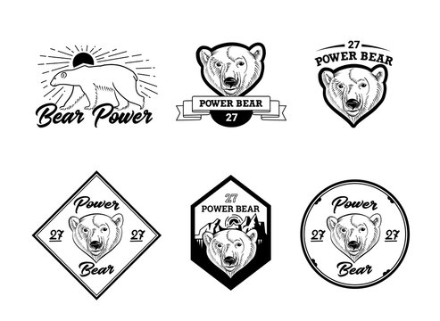 Linear style logo and badge design collection with polar bear head image. Vector illustration.