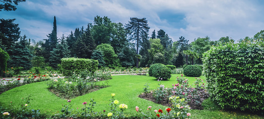 Park palms plants green life
