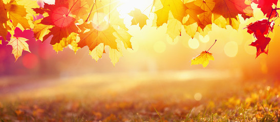 Fallende Herbstahornblätter natürlichen Hintergrund