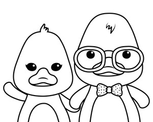Couple of ducks cartoons design
