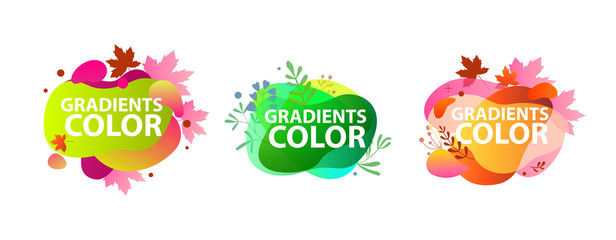 Liquid colorful abstract elements set. Dynamical colored forms and lines. Flowing liquid shapes banners with leaves. Template for design of logo, flyer, presentation, vector illustration