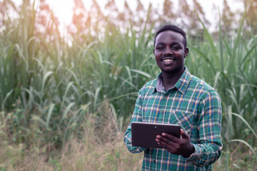 African Farmer  stand in the green farm with holding tablet