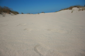 Fototapeta na wymiar beach with golden sand and dunes