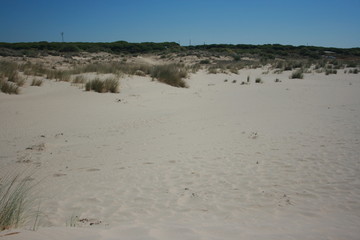 Spanish beach with golden sand Huelva