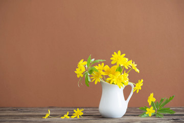 Still life with yellow spring flowers in jug