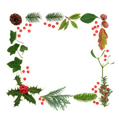 Winter and flora and fauna with loose red holly berries forming a square background border on white.  Traditional natural symbols for the winter season.
