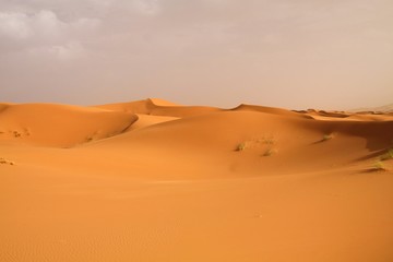 Fototapeta na wymiar Lonely isolated sand dunes belt in the Sahara desert near Erg Chebbi, Morocco