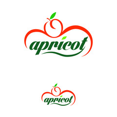 Modern Apricot Logo Design Template