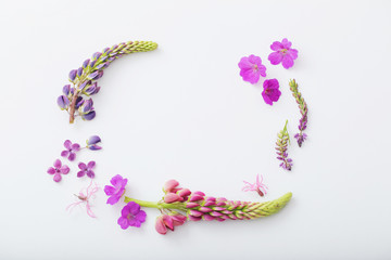 frame of summer flowers on white background