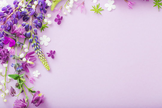 Violet Flower 4k Wallpapers  Wallpaper Cave
