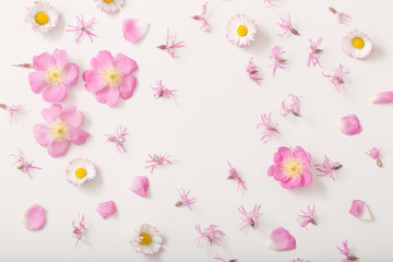 summer flowers on white background