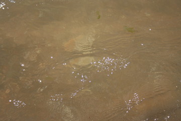 Calm water on the beach at the morming
