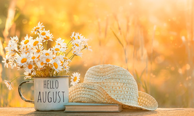 hello August. beautiful composition with chamomile flowers in Cup, old book, braided hat in garden. Rural landscape background with Chamomile in sunlight. Summertime season. soft selective focus