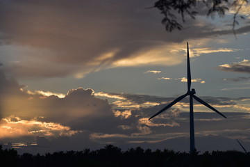 wind turbines at sunset