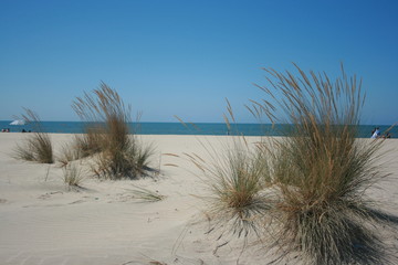 Spanish beach with golden sun and blue sky Huelva