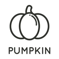 cartoon pumpkin vector image outline with text