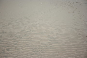 Spanish beach with golden sand and blue sky 