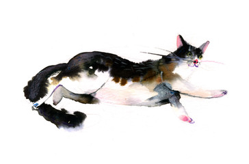 Cute watercolor cat on a white background. Hands drawn kitten illustration -